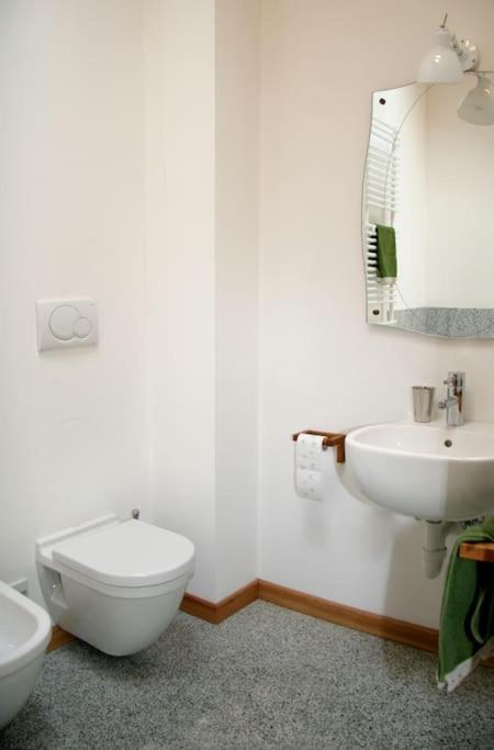 Lovely Apt In Pinzolo Val Rendena 7 Экстерьер фото